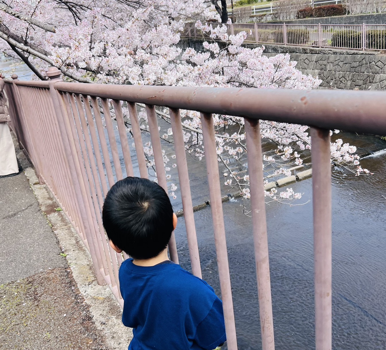 プレゼンテーション1